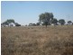 “Wilga” McKinley Road, Hillston NSW 2675