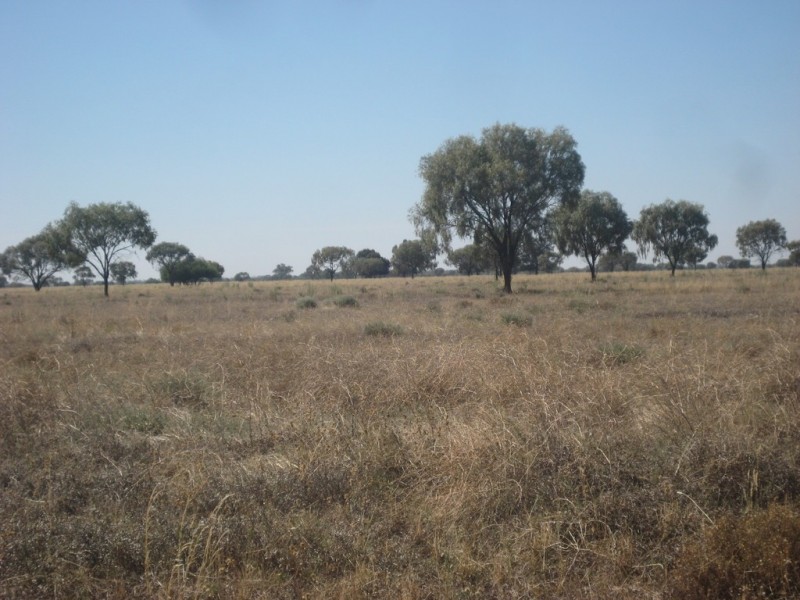 “Wilga” McKinley Road, Hillston NSW 2675