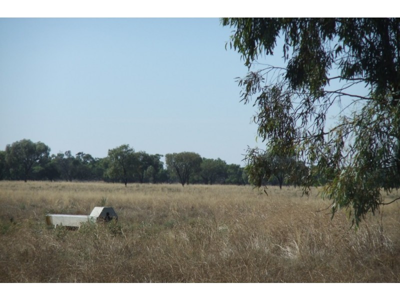 “Wilga” McKinley Road, Hillston NSW 2675