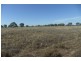 “Wilga” McKinley Road, Hillston NSW 2675