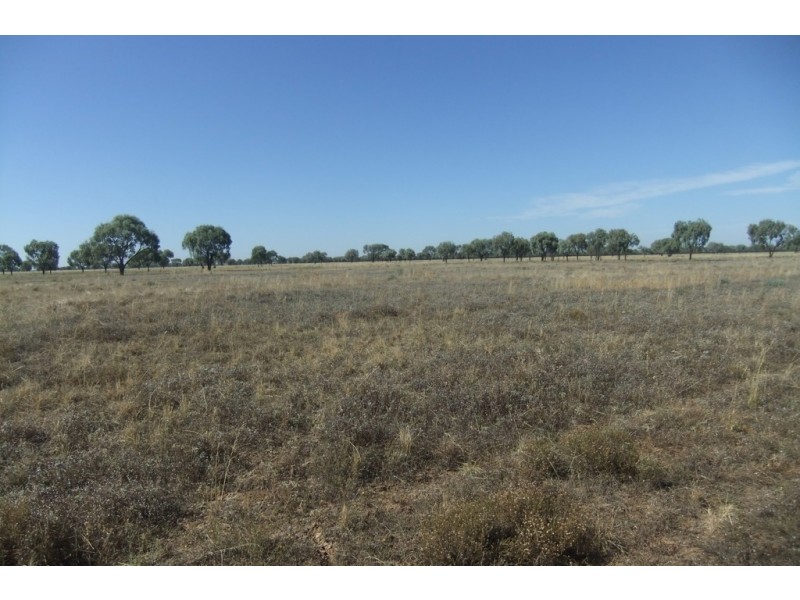 “Wilga” McKinley Road, Hillston NSW 2675