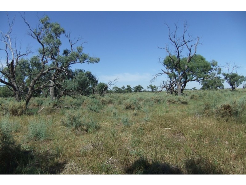 “Wilga” McKinley Road, Hillston NSW 2675
