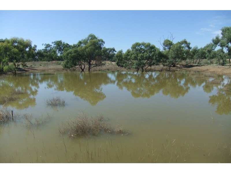 “Wilga” McKinley Road, Hillston NSW 2675