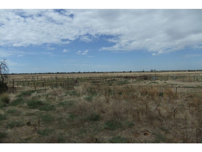 “Wilga” McKinley Road, Hillston NSW 2675