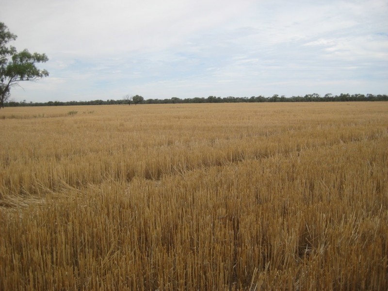 “Wilga” McKinley Road, Hillston NSW 2675