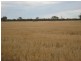 “Wilga” McKinley Road, Hillston NSW 2675