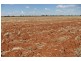 “Wilga” McKinley Road, Hillston NSW 2675