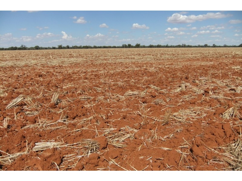 “Wilga” McKinley Road, Hillston NSW 2675