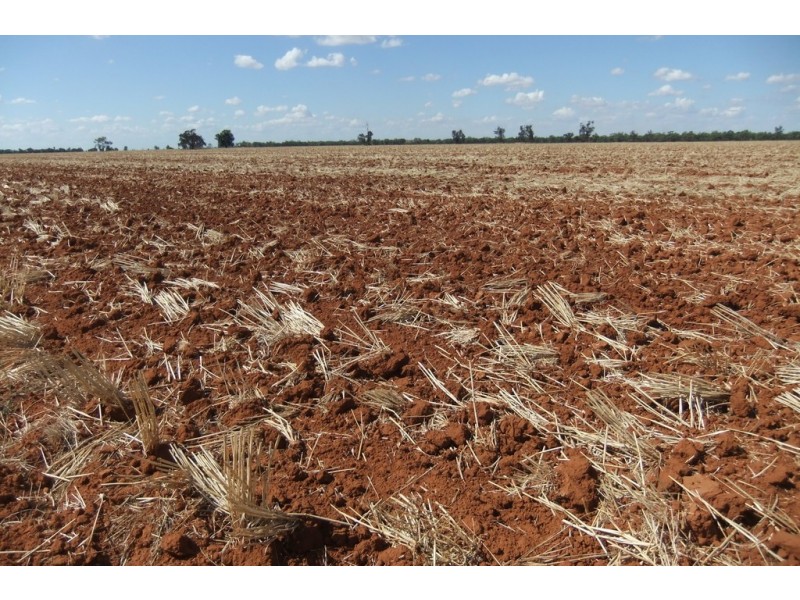 “Wilga” McKinley Road, Hillston NSW 2675