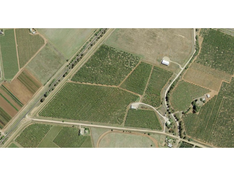 Farm 223 Morley Road, Yoogali NSW 2680