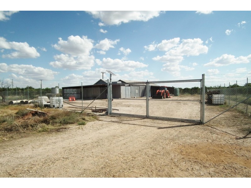 Farm 223 Morley Road, Yoogali NSW 2680