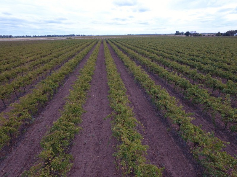 Farm 1328 Wilga Road, Whitton NSW 2705