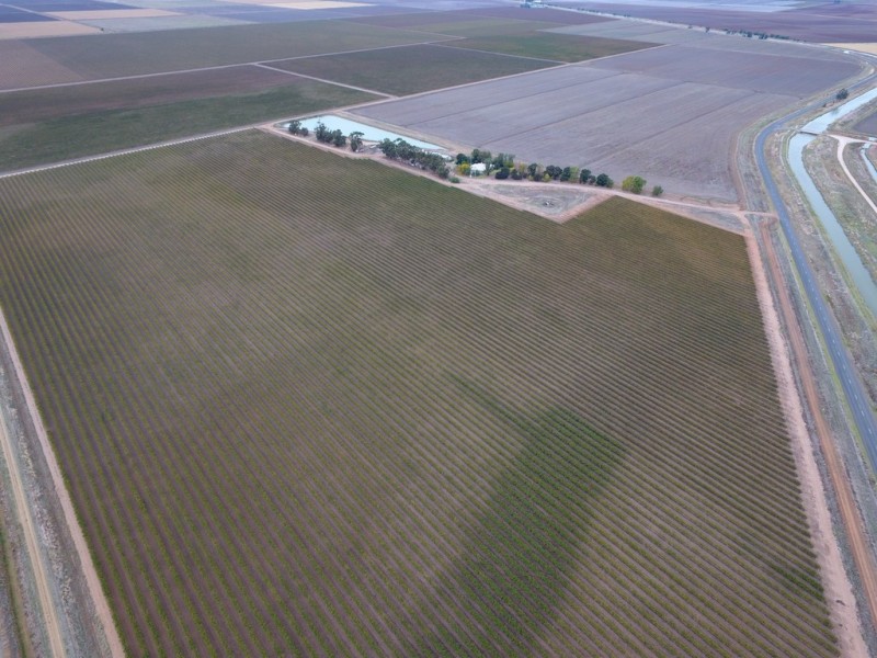 Farm 1328 Wilga Road, Whitton NSW 2705