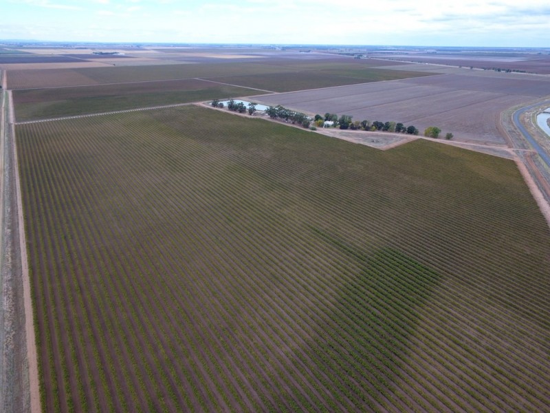 Farm 1328 Wilga Road, Whitton NSW 2705