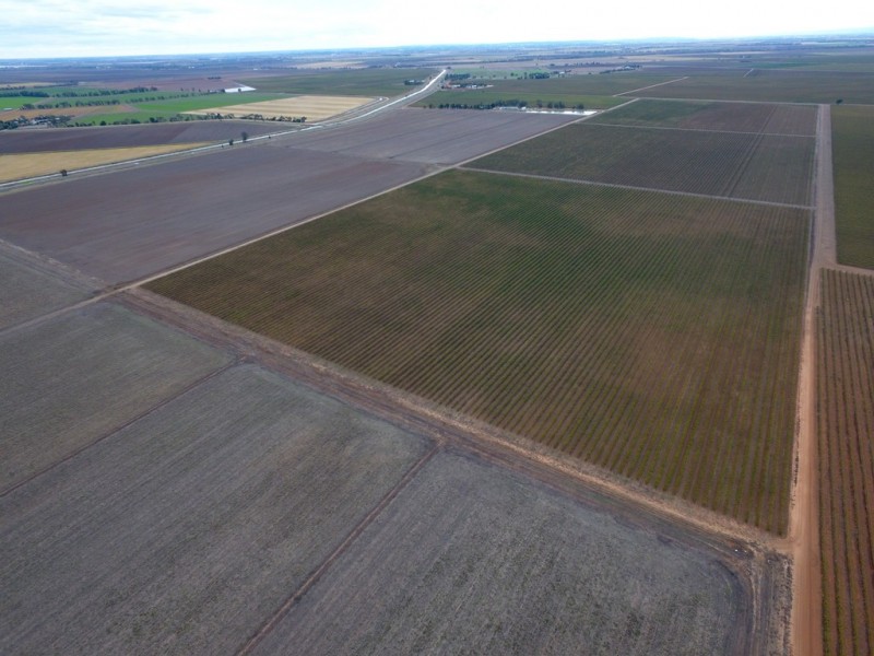 Farm 1328 Wilga Road, Whitton NSW 2705