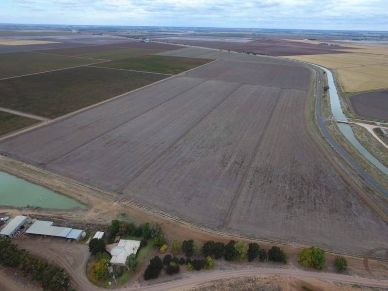 Farm 1328 Wilga Road, Whitton NSW 2705