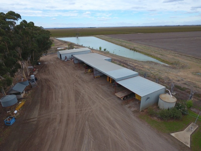Farm 1328 Wilga Road, Whitton NSW 2705