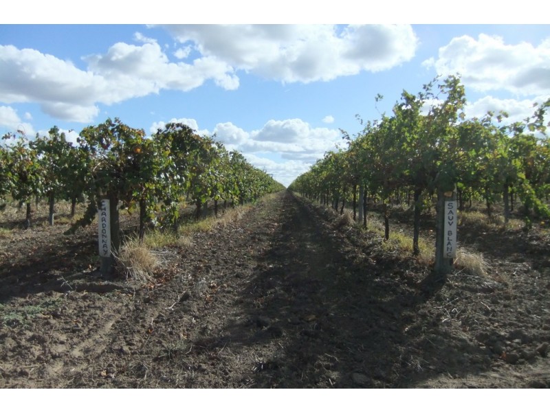 Farm 1328 Wilga Road, Whitton NSW 2705