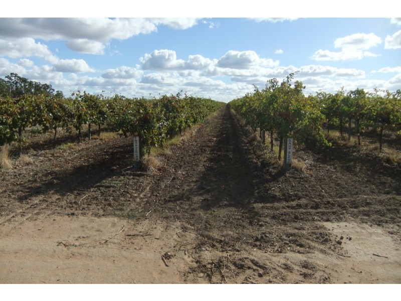 Farm 1328 Wilga Road, Whitton NSW 2705