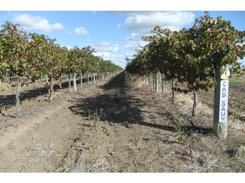 Farm 1328 Wilga Road, Whitton NSW 2705