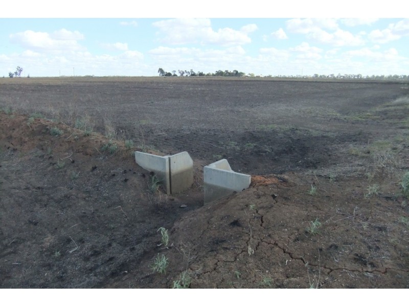 Farm 1328 Wilga Road, Whitton NSW 2705