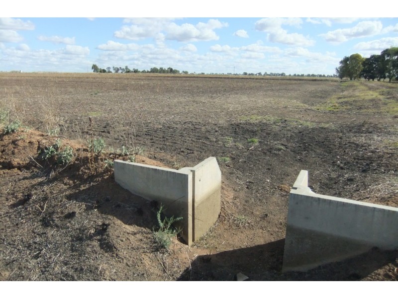 Farm 1328 Wilga Road, Whitton NSW 2705