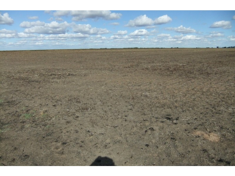 Farm 1328 Wilga Road, Whitton NSW 2705