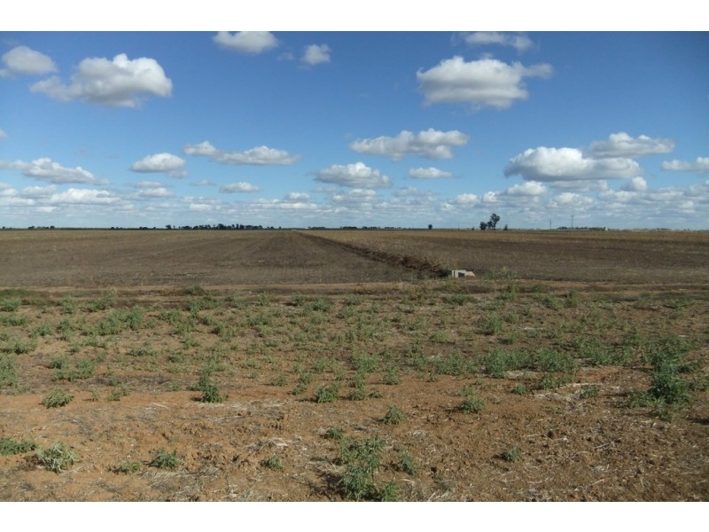 Farm 1328 Wilga Road, Whitton NSW 2705