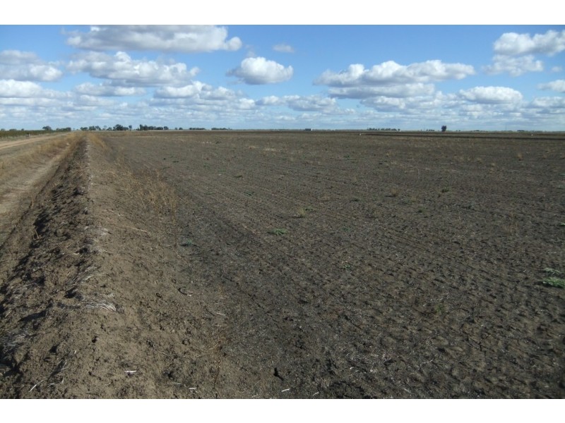 Farm 1328 Wilga Road, Whitton NSW 2705