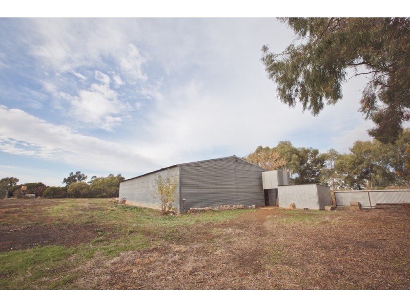 161 Whitton Road, Yenda NSW 2681