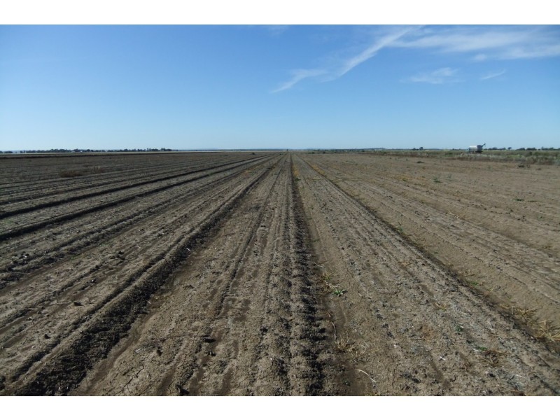 Farm 43 Casserly Road, Warrawidgee NSW 2680