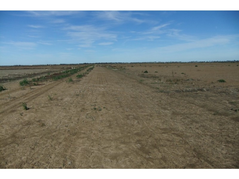 Farm 43 Casserly Road, Warrawidgee NSW 2680