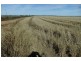 Farm 43 Casserly Road, Warrawidgee NSW 2680