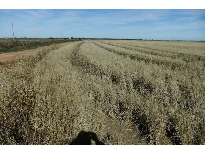Farm 43 Casserly Road, Warrawidgee NSW 2680