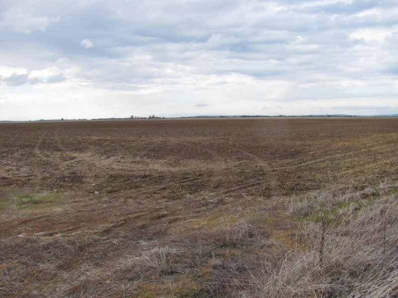 Farm 919A Irrigation Way, Whitton NSW 2705