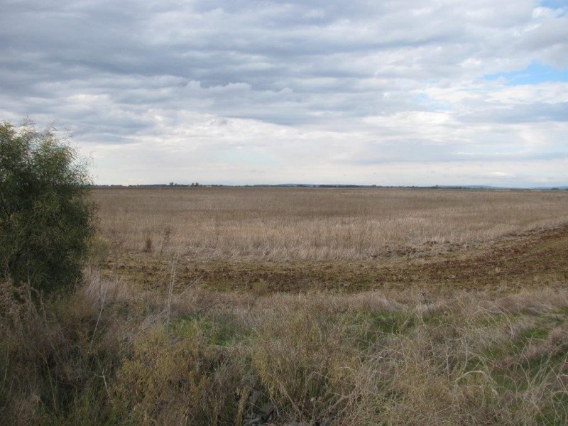 Farm 919A Irrigation Way, Whitton NSW 2705