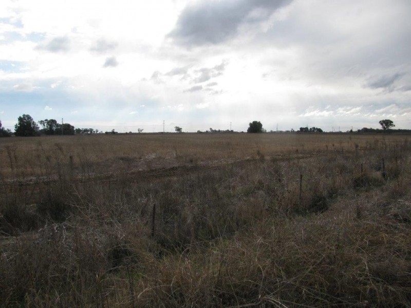 Farm 919A Irrigation Way, Whitton NSW 2705