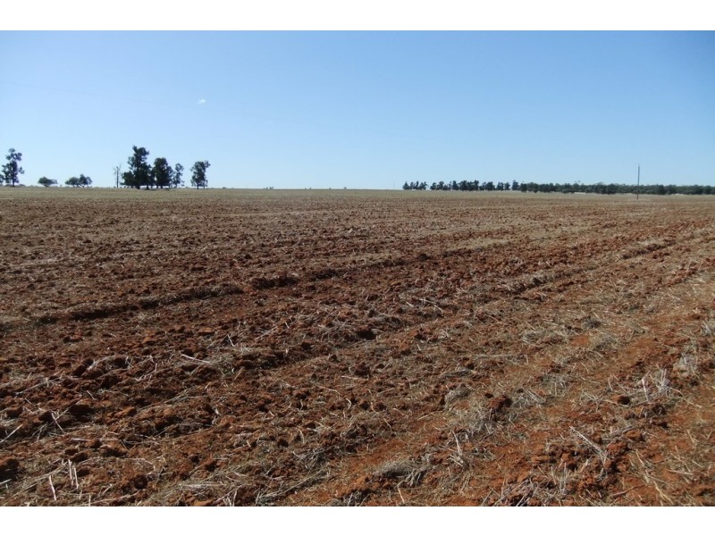 “Trelawn” Wild Horse Tank Road, Merriwagga NSW 2652