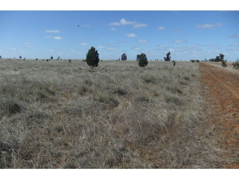 “Trelawn” Wild Horse Tank Road, Merriwagga NSW 2652