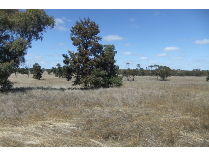 “Trelawn” Wild Horse Tank Road, Merriwagga NSW 2652