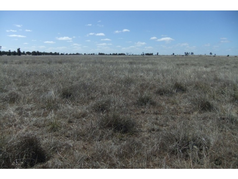 “Trelawn” Wild Horse Tank Road, Merriwagga NSW 2652