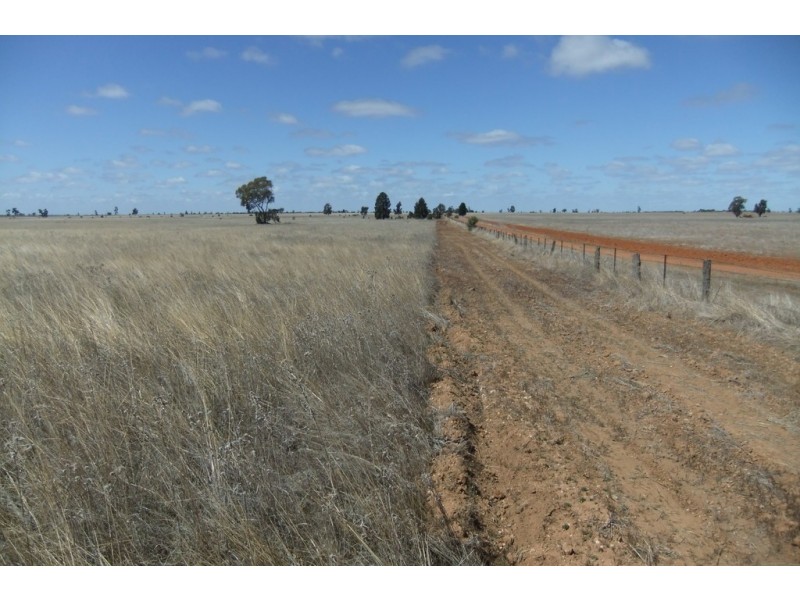 “Trelawn” Wild Horse Tank Road, Merriwagga NSW 2652