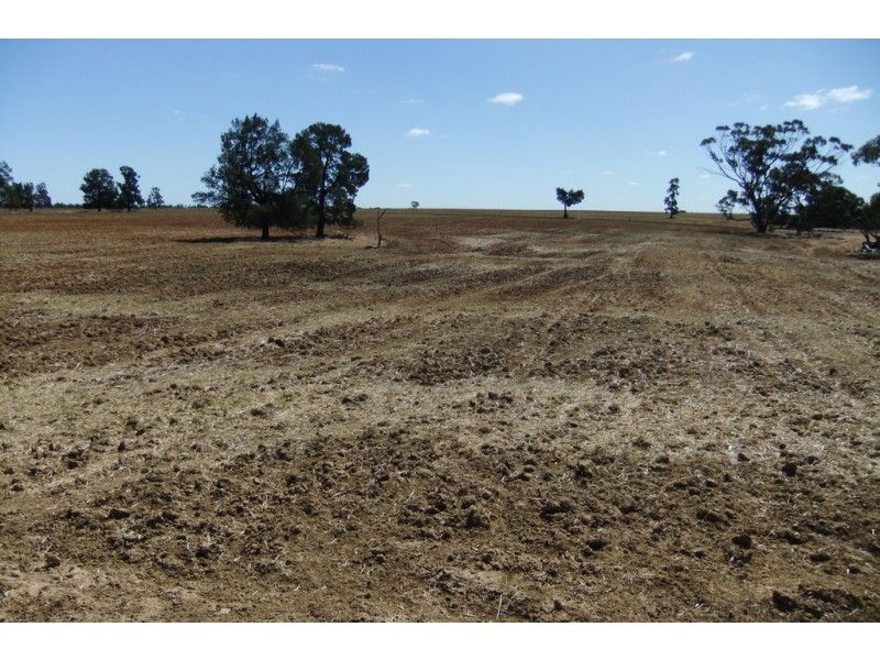 “Trelawn” Wild Horse Tank Road, Merriwagga NSW 2652