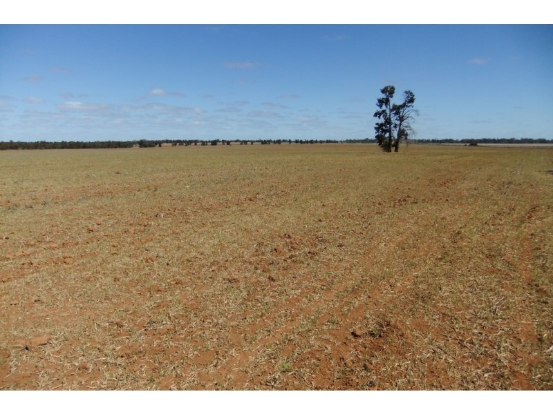 “Trelawn” Wild Horse Tank Road, Merriwagga NSW 2652