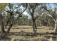 19 ORTELLA STREET, Griffith NSW 2680