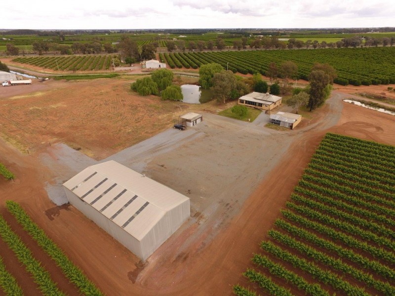 46 Dooley Road, Leeton NSW 2705