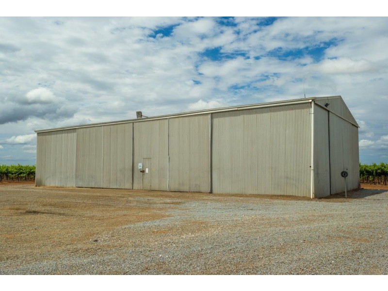 46 Dooley Road, Leeton NSW 2705