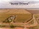 “Boree Downs” and “Waverley” Bringagee Road, Tabbita NSW 2652