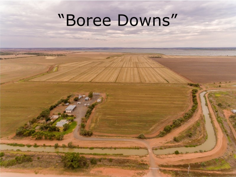 “Boree Downs” and “Waverley” Bringagee Road, Tabbita NSW 2652
