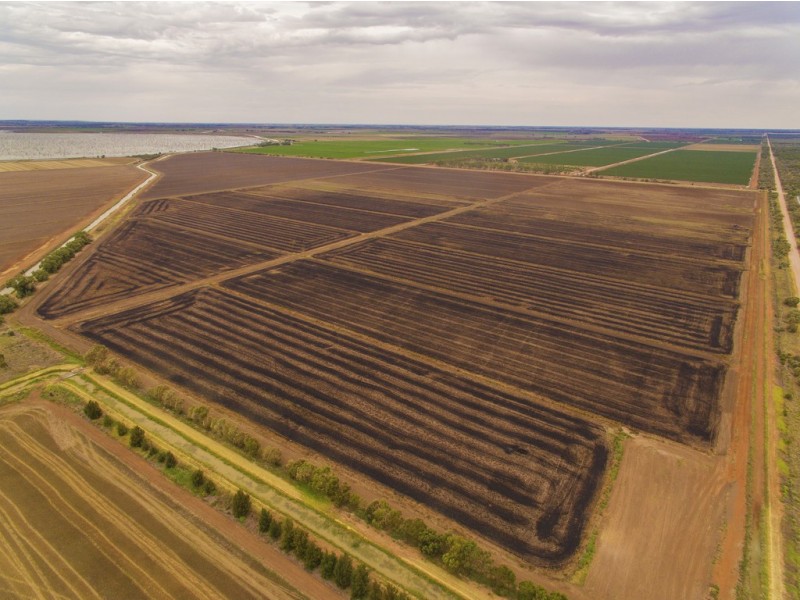 “Boree Downs” and “Waverley” Bringagee Road, Tabbita NSW 2652